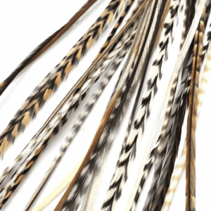 25 Extensiones Naturales 1