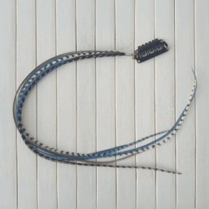 Clip azul eléctrico 1